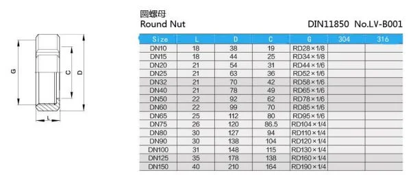 Stainless Steel High Quality Ss 304, 316L Round Nut